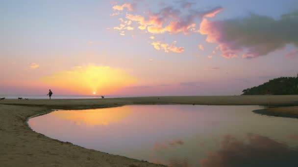 Les Touristes Marchent Avec Des Chiens Pendant Coucher Soleil Sur — Video