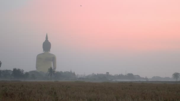 Grote Boeddha Van Thailand Bij Wat Muang Ang Thong Thailand — Stockvideo