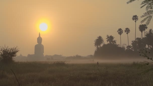 Brouillard Dans Rizière Côté Grand Bouddha Grand Bouddha Thaïlande Wat — Video