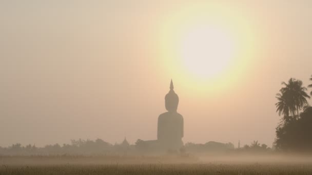 Sole Sulla Testa Del Grande Buddha Della Thailandia Wat Muang — Video Stock