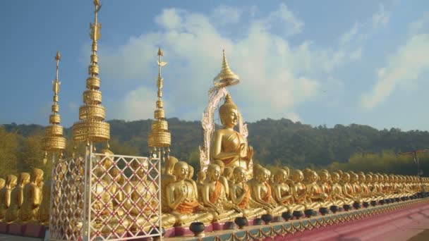 Velká Zlatá Socha Buddhy Mezi Mnoha Malými Sochami Buddhy Venkově — Stock video