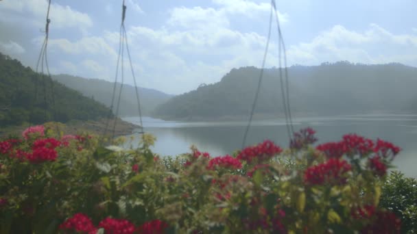 Diverses Fleurs Colorées Sont Belles Sur Crête Barrage Kundan Prakarnchon — Video