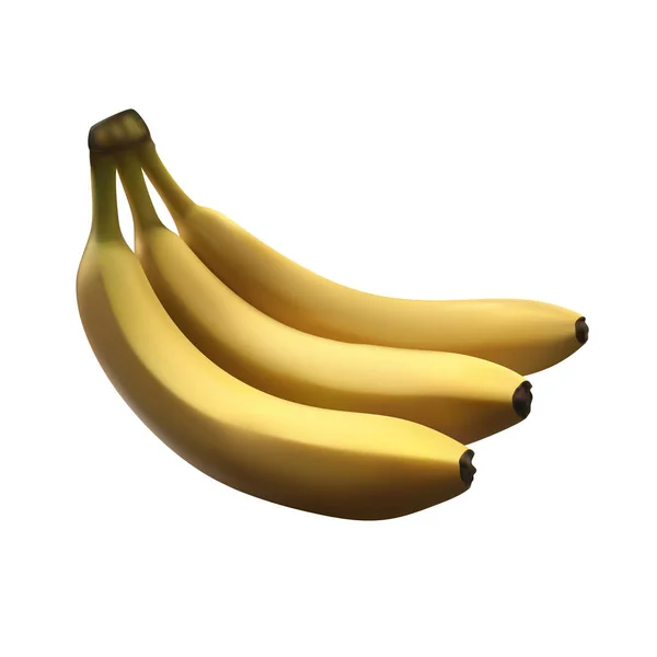 Zweig frischer und schmackhafter Bananen isoliert auf weißem Hintergrund — Stockvektor