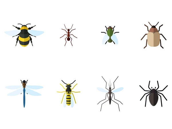 Набор из 8 плоских икон насекомых — стоковый вектор