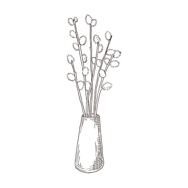 Handgezeichnete Weidenzweige in der Vase — Stockvektor