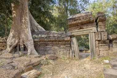 Banyan Ağacı ve Kapısı, Ta Prohm tapınağı. Siem Reap, Kamboçya 'da ormandaki gizli kalıntılar..