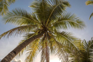 Beyaz sahil yolu, Boracay Adası, Filipinler.