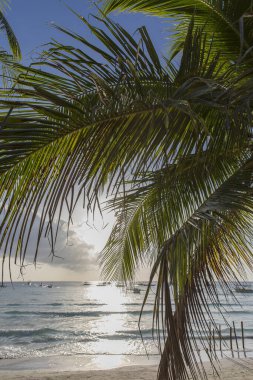Beyaz sahil yolu, Boracay Adası, Filipinler.
