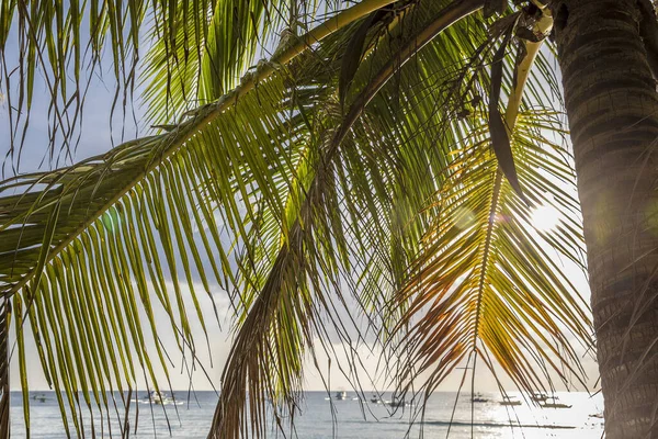 Sentiero Sulla Spiaggia Bianca Isola Boracay Filippine — Foto Stock