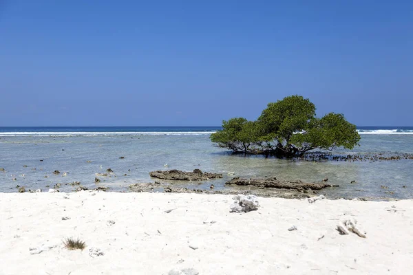 Krásné Pobřeží Oceánu Ostrova Gili Trawangan Bali Indonésie — Stock fotografie