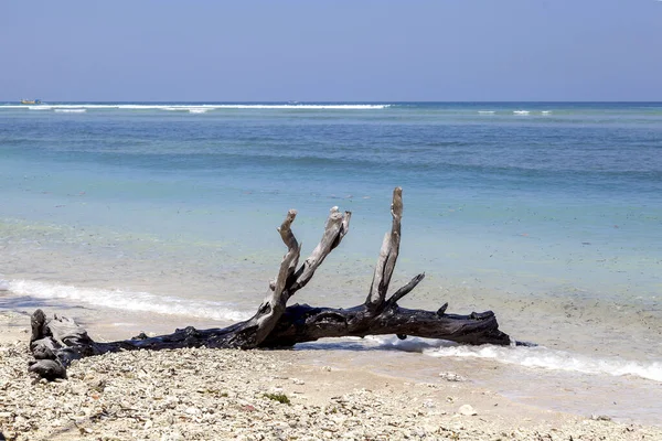 インドネシア バリのジリ トラワンガン島の美しい海の海岸 — ストック写真