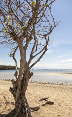 Nusa Dua, Bali, Endonezya sahilinden manzara.