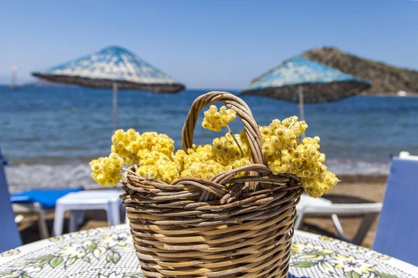  Türkiye 'nin Bodrum kentindeki Gumusluk plajı.