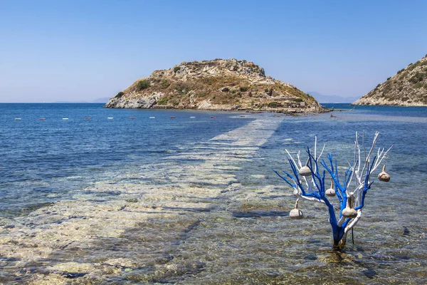  Türkiye 'nin Bodrum kentindeki Gumusluk plajı.