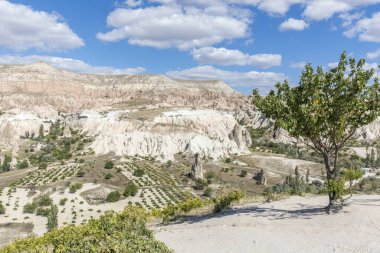 Türkiye 'nin Kapadokya, Nevsehir, Türkiye' de volkanik tufa oluşumları.