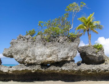 Beyaz plaj, Boracay Adası, Filipinler.