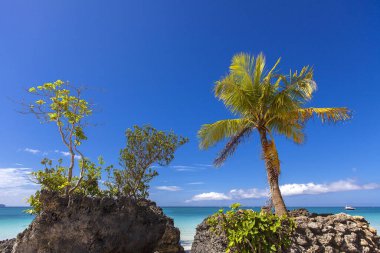 Beyaz plaj, Boracay Adası, Filipinler.