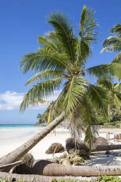 Beyaz plaj, Boracay Adası, Filipinler.