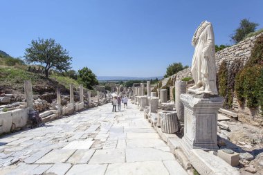 Eski şehrin kalıntıları olan ephesus hindi..
