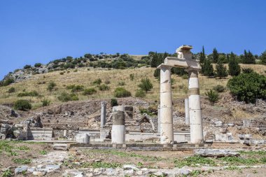 Eski şehrin kalıntıları olan ephesus hindi..