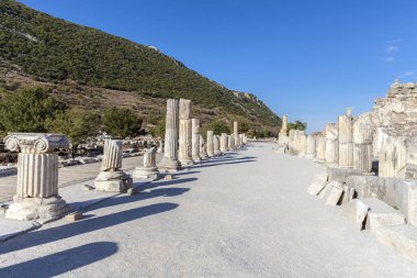 Eski şehrin kalıntıları olan ephesus hindi..