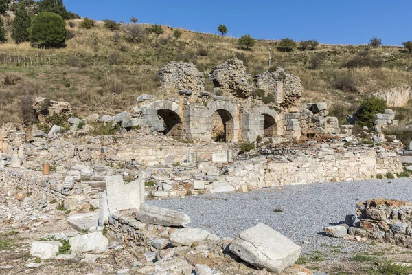 Les Ruines Ancienne Ville Ephèse Dinde — Photo
