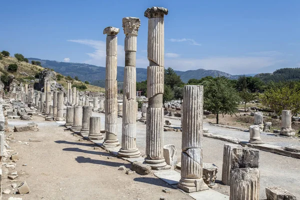 Eski şehrin kalıntıları olan ephesus hindi..