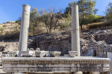 Eski şehrin kalıntıları olan ephesus hindi..