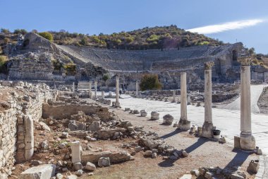 Eski şehrin kalıntıları olan ephesus hindi..