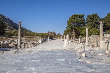 Eski şehrin kalıntıları olan ephesus hindi..