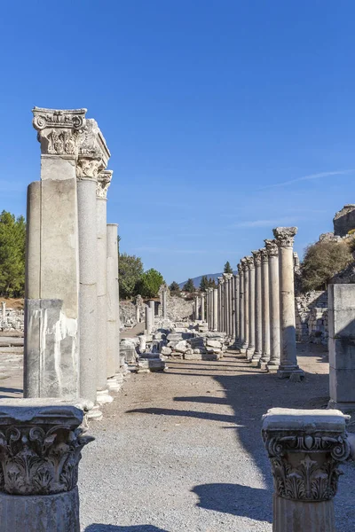 Eski şehrin kalıntıları olan ephesus hindi..