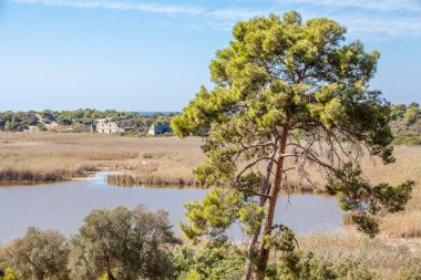 Eski Patara limanının kalıntıları antik şehir.