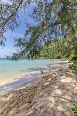  Sunset Beach, Koh rong samloem Adası, Sihanoukville, Kamboçya.