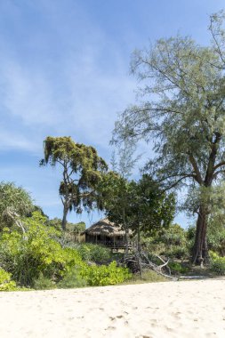 Tembel plaj, koh rong samloem adası, Sihanoukville, Kamboçya.