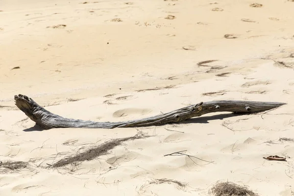 Playa Perezosa Koh Rong Samloem Island Sihanoukville Camboya — Foto de Stock