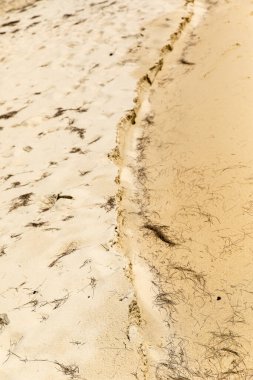 Kum, tembel plaj, koh rong samloem adası, Sihanoukville, Kamboçya.