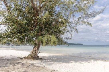 Saracen Körfezi Sahili, Koh rong Samloem Adası, Sihanoukville, Kamboçya.