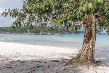 Saracen Körfezi Sahili, Koh rong Samloem Adası, Sihanoukville, Kamboçya.