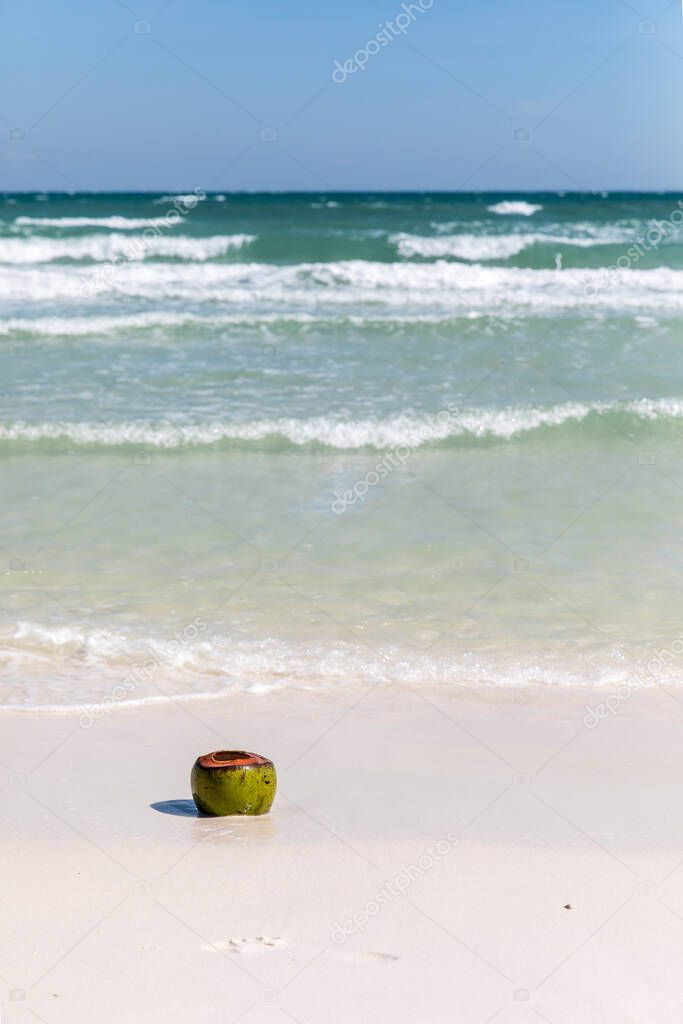 Fresh coconut, saracen bay beach, koh rong samloem island, sihanoukville, Cambodia.