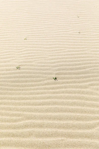 Waves Sand Iztuzu Beach Dalya Turkey — Stock Photo, Image