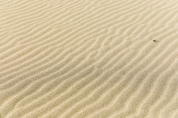 砂の波 Iztuzuビーチ Dalya トルコ — ストック写真