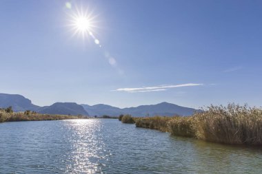 Dalyan Nehri, Dalyan, Türkiye 