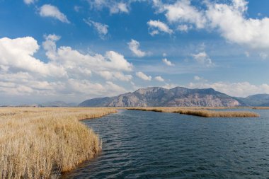 Dalyan Nehri, Dalyan, Türkiye 