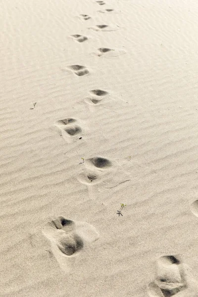 Footprints Fine Sand Iztuzu Beach Dalyan Turkey — Stock Photo, Image