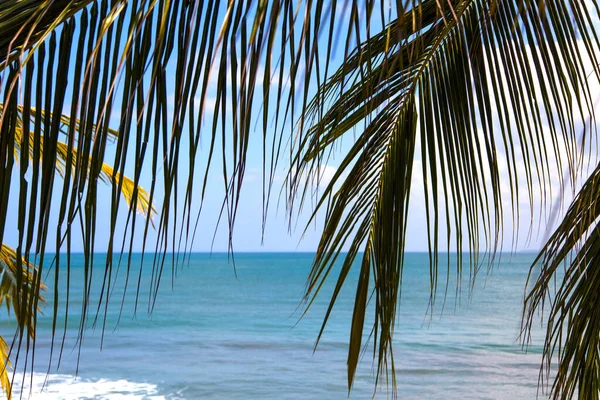 Kuta Beach Lombok Indonesia Asia — Stock Photo, Image