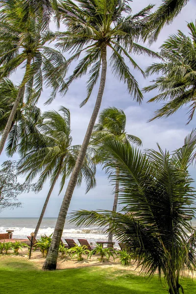 Mui Ne White Sandy Plajı, Vietnam, Asya.