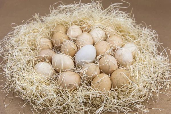 Huevos Marrones Una Cesta Imágenes De Stock Sin Royalties Gratis