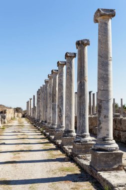 Türkiye 'de yer alan antik Perge Antalya kentindeki agora kalıntıları.