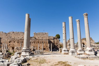 Türkiye 'nin antik Perge kentine bakış Antalya.