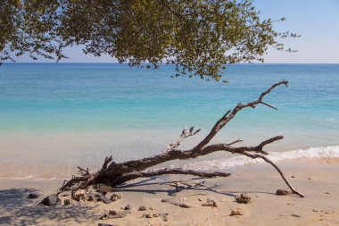 Gili Trawangan adasının güzel okyanus kıyıları, Bali, Endonezya.